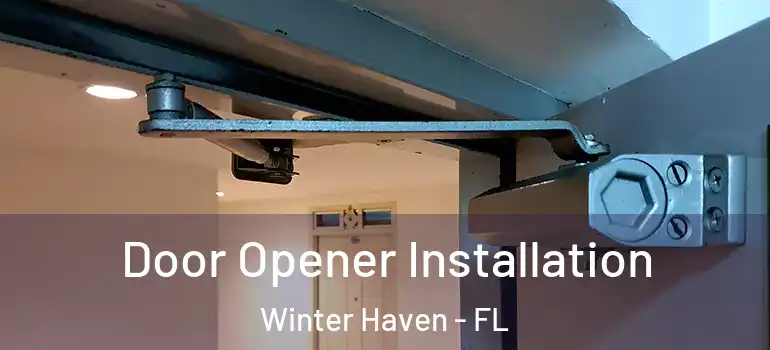  Door Opener Installation Winter Haven - FL