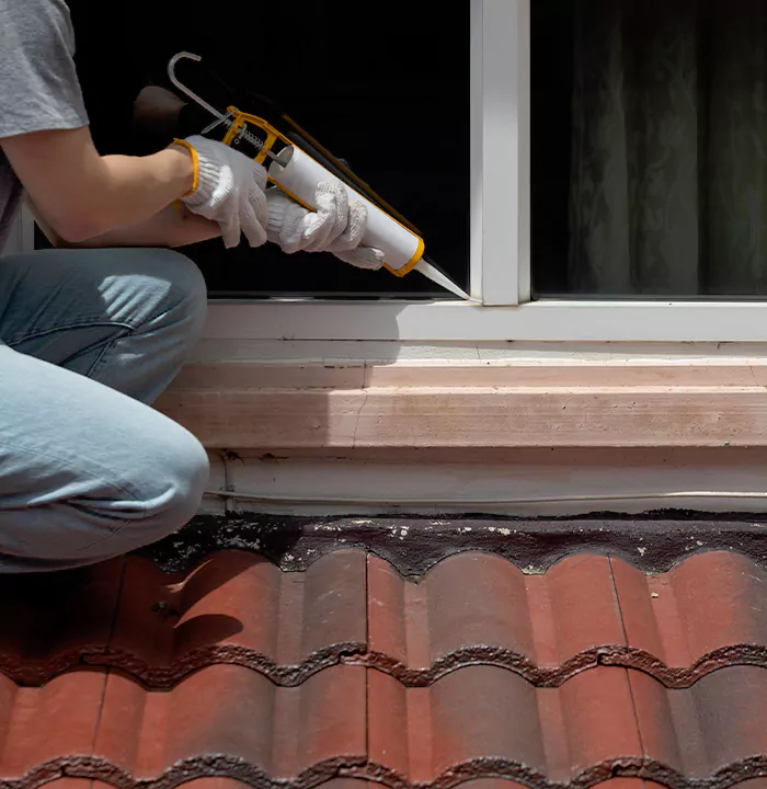 Roof Window Services in Winter Haven, Florida