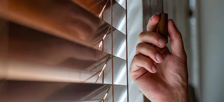 Double Roller Blinds in Winter Haven, FL