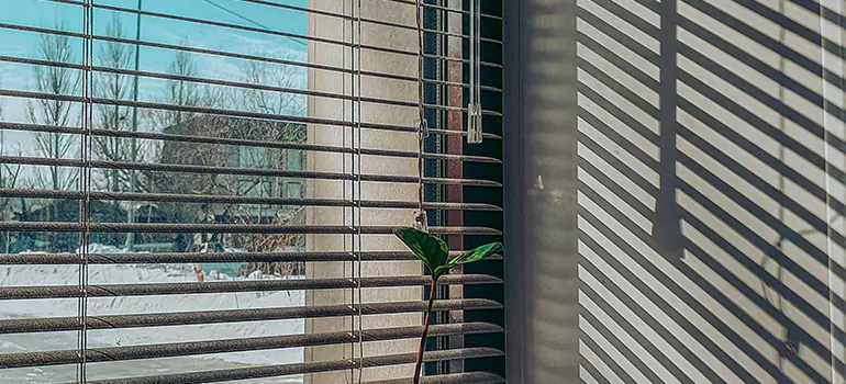 Commercial Window Blinds in Winter Haven, FL